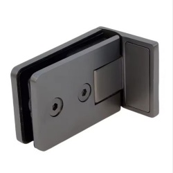 Glass Hinge